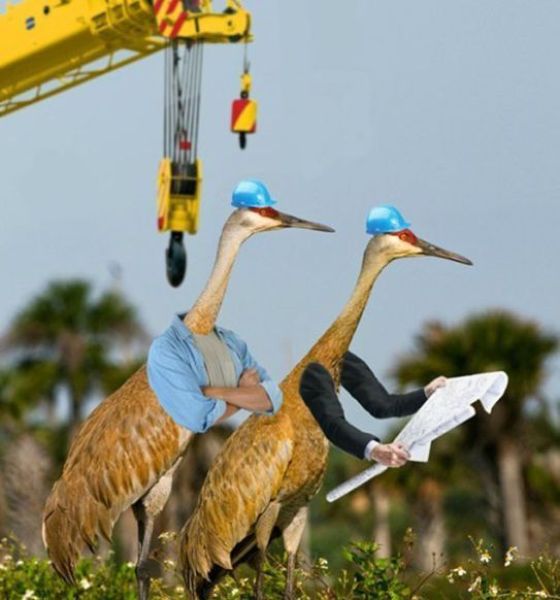 morning picdump 52 pics 2.html - 52 HD Photos | Premium Gallery 2012