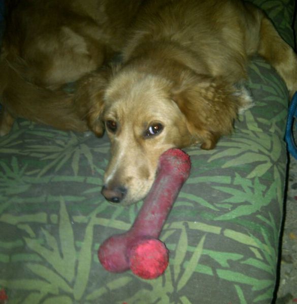 morning picdump 52 pics 2.html - 52 HD Photos | Premium Gallery 2012