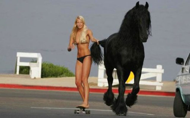 Crazy Is as Crazy Does