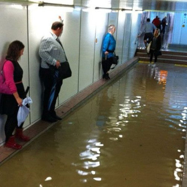 Crazy Is as Crazy Does