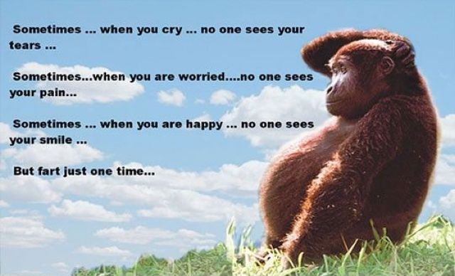 morning picdump 50 pics 9.html - 50 HD Photos | Premium Gallery 2012