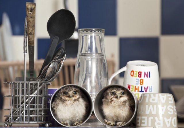 morning picdump 50 pics 9.html - 50 HD Photos | Premium Gallery 2012