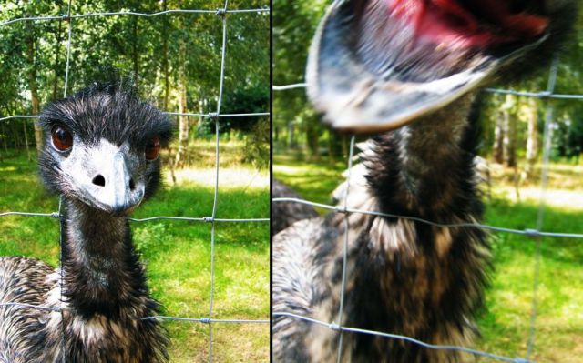 daily picdump 87 pics 33.html - 87 HD Photos | Premium Gallery 2012