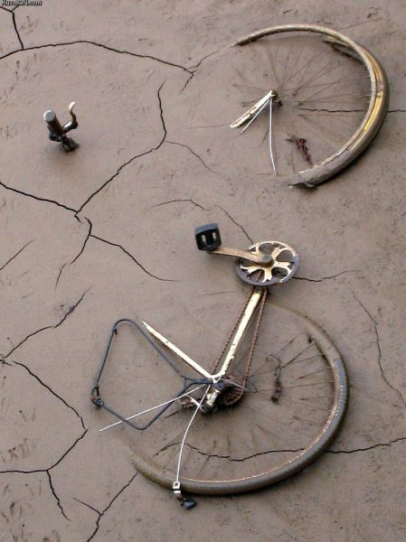 daily picdump 87 pics 33.html - 87 HD Photos | Premium Gallery 2012