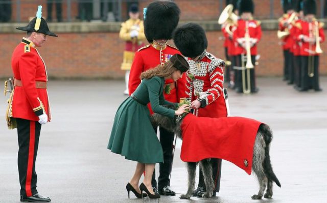 morning picdump 52 pics 16.html - 52 HD Photos | Premium Gallery 2012