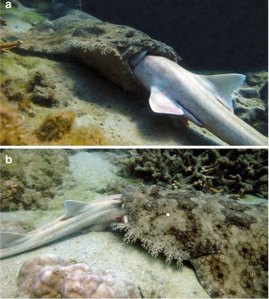 morning picdump 50 pics 15.html - 50 HD Photos | Premium Gallery 2012