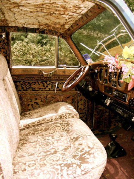 morning picdump 51 pics 20.html - 51 HD Photos | Premium Gallery 2012