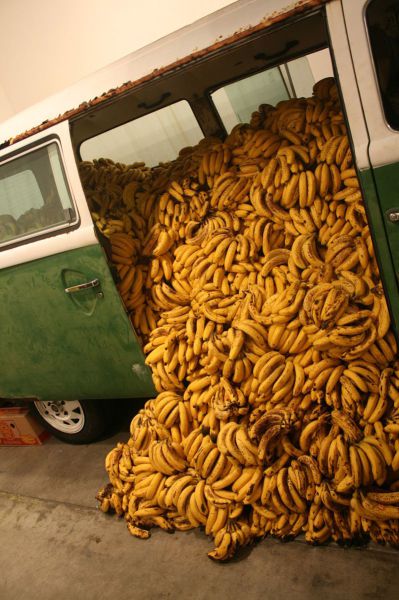 morning picdump 51 pics 20.html - 51 HD Photos | Premium Gallery 2012