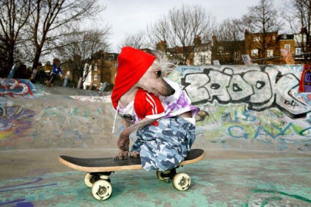 daily picdump 90 pics 24.html - 90 HD Photos | Premium Gallery 2012