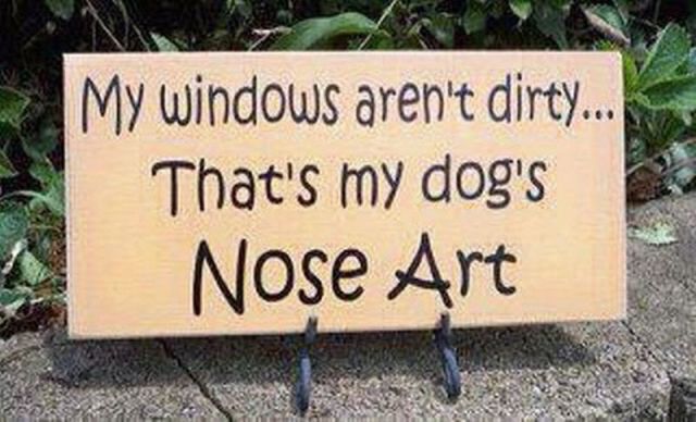 daily picdump 90 pics 24.html - 90 HD Photos | Premium Gallery 2012