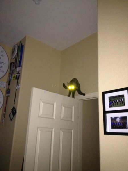 daily picdump 90 pics 24.html - 90 HD Photos | Premium Gallery 2012