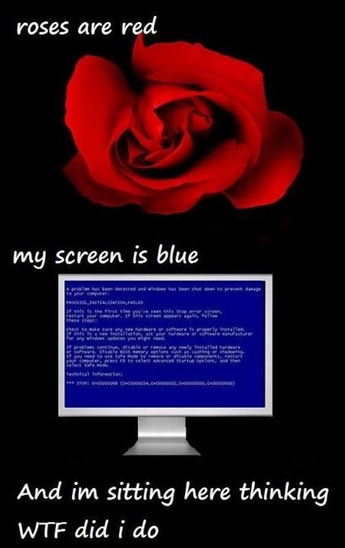 daily picdump 90 pics 24.html - 90 HD Photos | Premium Gallery 2012