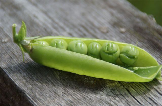 morning picdump 54 pics 44.html - 54 HD Photos | Premium Gallery 2012