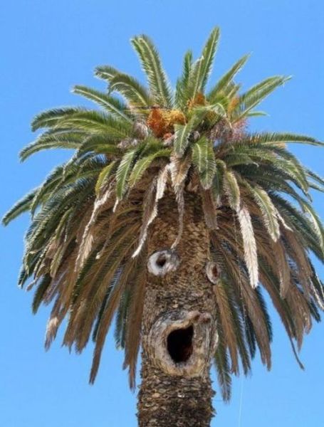 morning picdump 54 pics 44.html - 54 HD Photos | Premium Gallery 2012