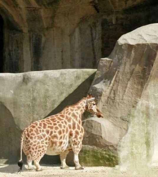 morning picdump 54 pics 44.html - 54 HD Photos | Premium Gallery 2012