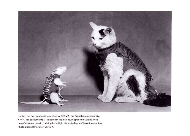 morning picdump 54 pics 44.html - 54 HD Photos | Premium Gallery 2012