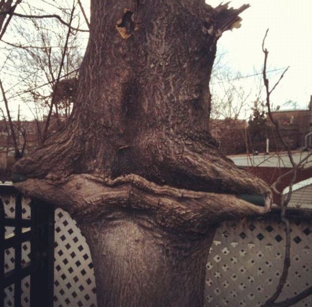 morning picdump 54 pics 44.html - 54 HD Photos | Premium Gallery 2012