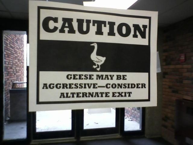 morning picdump 53 pics 16.html - 53 HD Photos | Premium Gallery 2012