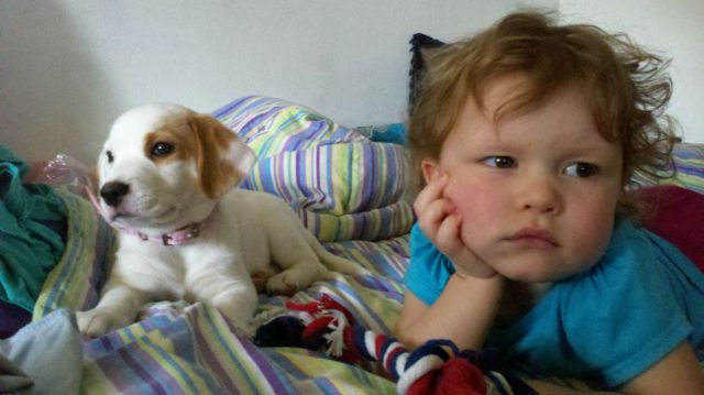 morning picdump 53 pics 16.html - 53 HD Photos | Premium Gallery 2012