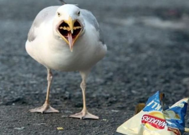 morning picdump 53 pics 16.html - 53 HD Photos | Premium Gallery 2012