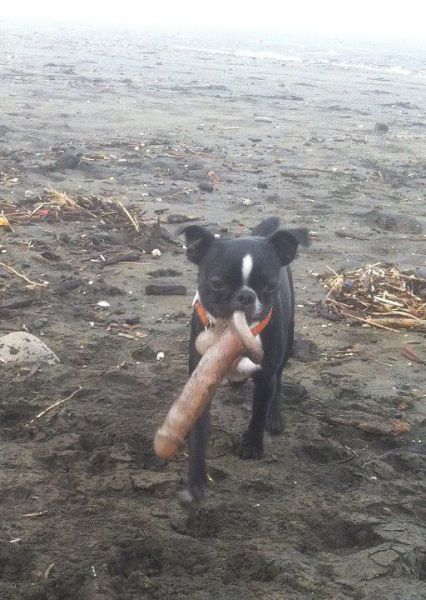 morning picdump 53 pics 20.html - 53 HD Photos | Premium Gallery 2012