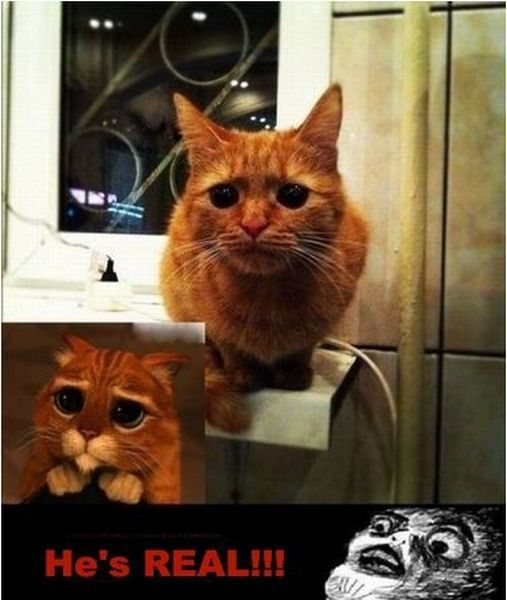 morning picdump 53 pics 20.html - 53 HD Photos | Premium Gallery 2012