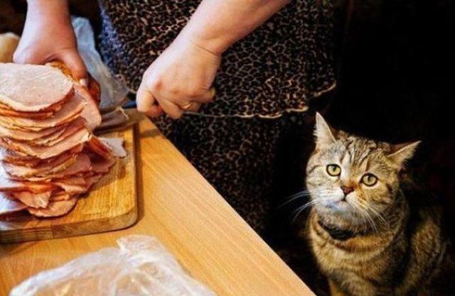 morning picdump 57 pics 44.html - 57 HD Photos | Premium Gallery 2012