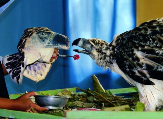 morning picdump 57 pics 44.html - 57 HD Photos | Premium Gallery 2012