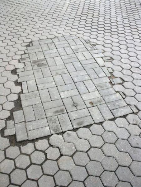 morning picdump 57 pics 44.html - 57 HD Photos | Premium Gallery 2012