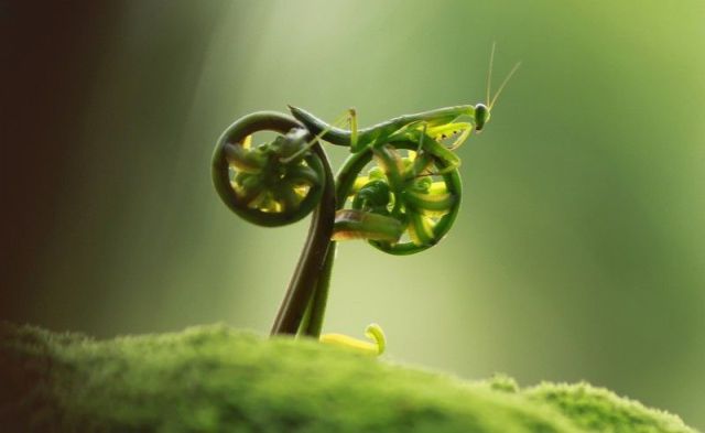 morning picdump 57 pics 44.html - 57 HD Photos | Premium Gallery 2012