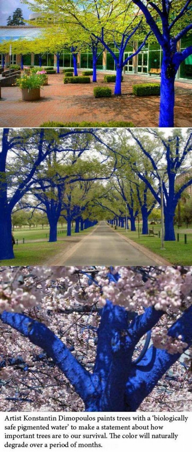 morning picdump 57 pics 44.html - 57 HD Photos | Premium Gallery 2012