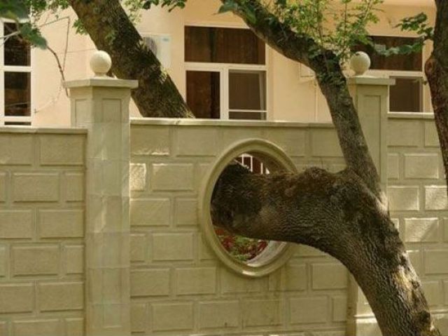 morning picdump 50 pics 45.html - 50 HD Photos | Premium Gallery 2012