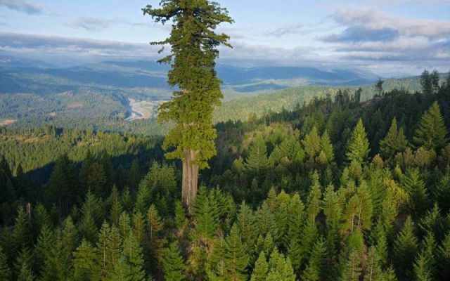 morning picdump 50 pics 45.html - 50 HD Photos | Premium Gallery 2012