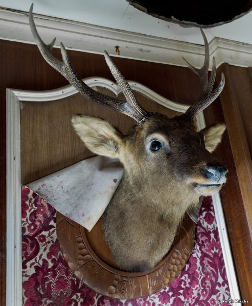 Abandoned Hotel in Japan