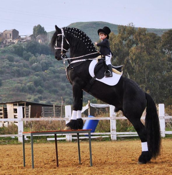 morning picdump 53 pics 21.html - 53 HD Photos | Premium Gallery 2012