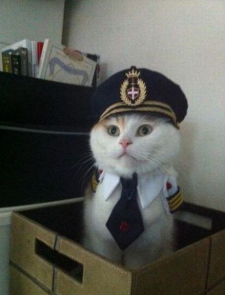 morning picdump 53 pics 21.html - 53 HD Photos | Premium Gallery 2012