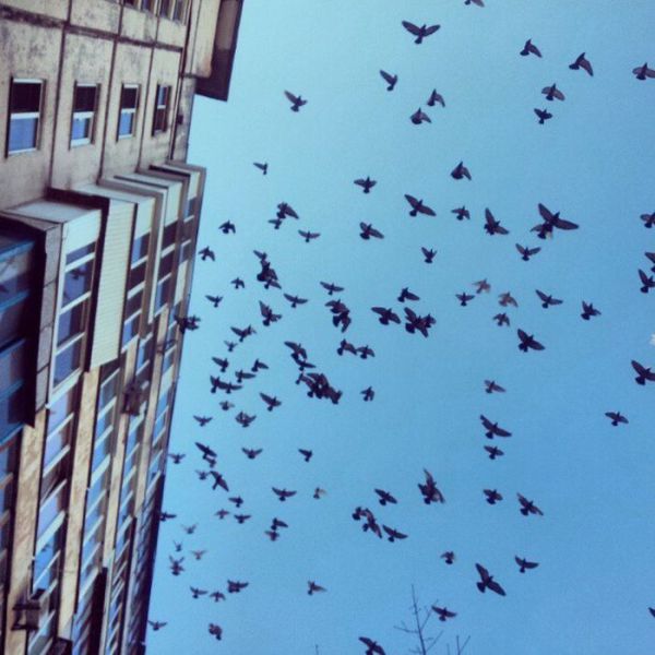 morning picdump 53 pics 21.html - 53 HD Photos | Premium Gallery 2012