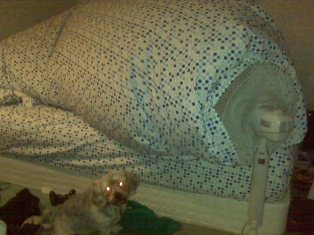 morning picdump 53 pics 21.html - 53 HD Photos | Premium Gallery 2012