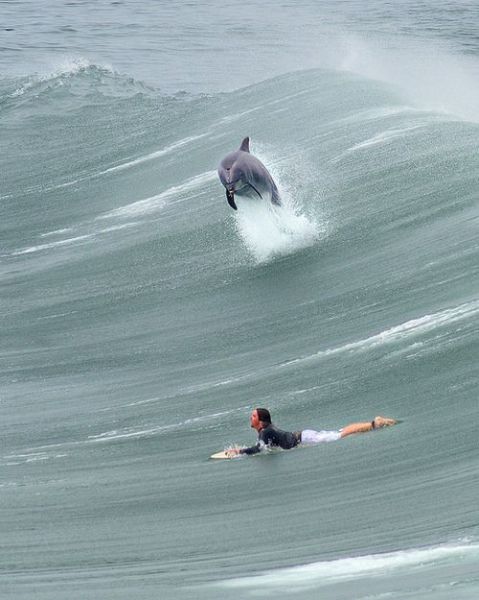 morning picdump 53 pics 21.html - 53 HD Photos | Premium Gallery 2012