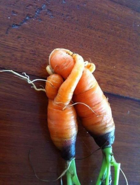 morning picdump 53 pics 21.html - 53 HD Photos | Premium Gallery 2012