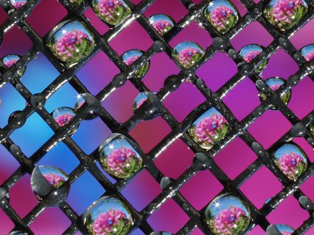 morning picdump 53 pics 21.html - 53 HD Photos | Premium Gallery 2012