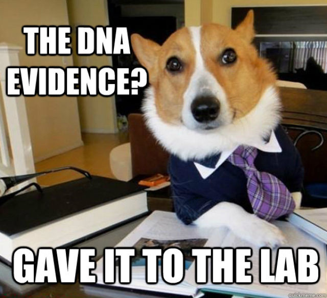 The Hilarious Lawyer Dog Meme