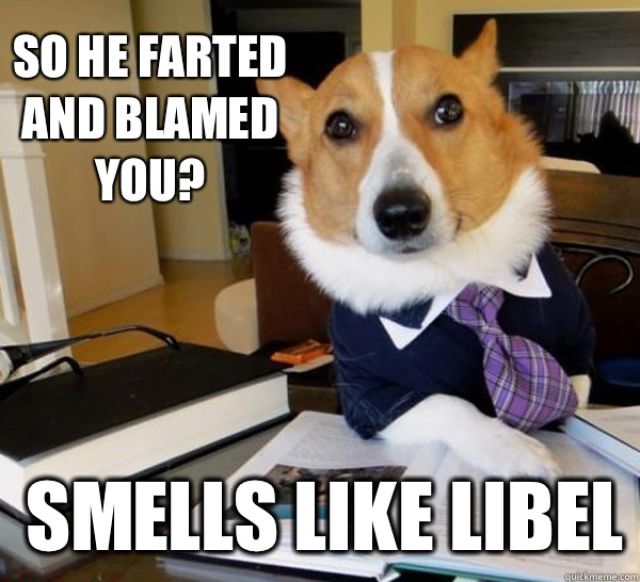 The Hilarious Lawyer Dog Meme