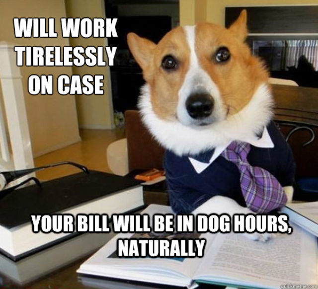 The Hilarious Lawyer Dog Meme