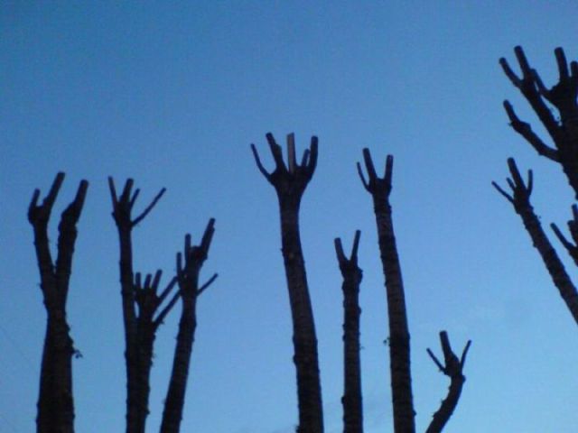 morning picdump 62 pics 9.html - 62 HD Photos | Premium Gallery 2012