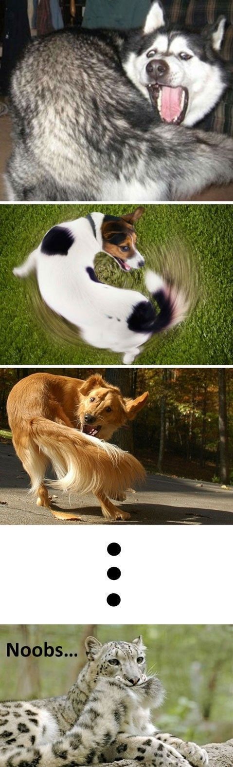 morning picdump 62 pics 9.html - 62 HD Photos | Premium Gallery 2012