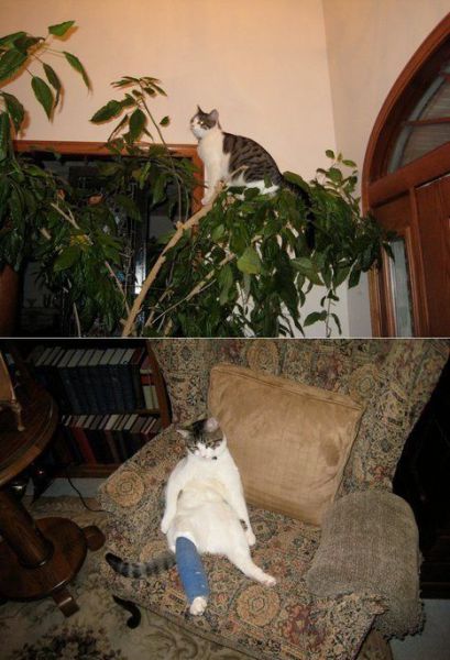 morning picdump 50 pics 17.html - 50 HD Photos | Premium Gallery 2012