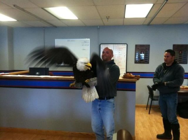 morning picdump 50 pics 17.html - 50 HD Photos | Premium Gallery 2012