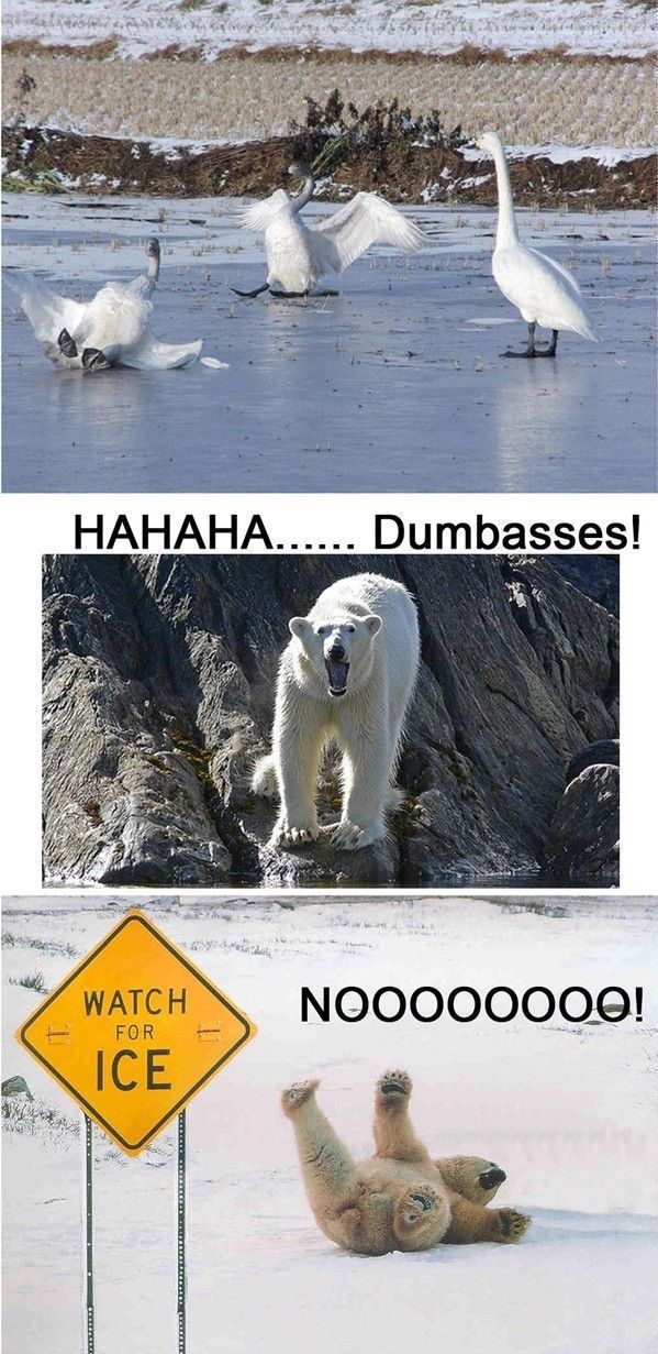 morning picdump 50 pics 17.html - 50 HD Photos | Premium Gallery 2012