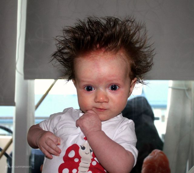 daily picdump 90 pics 23.html - 90 HD Photos | Premium Gallery 2012